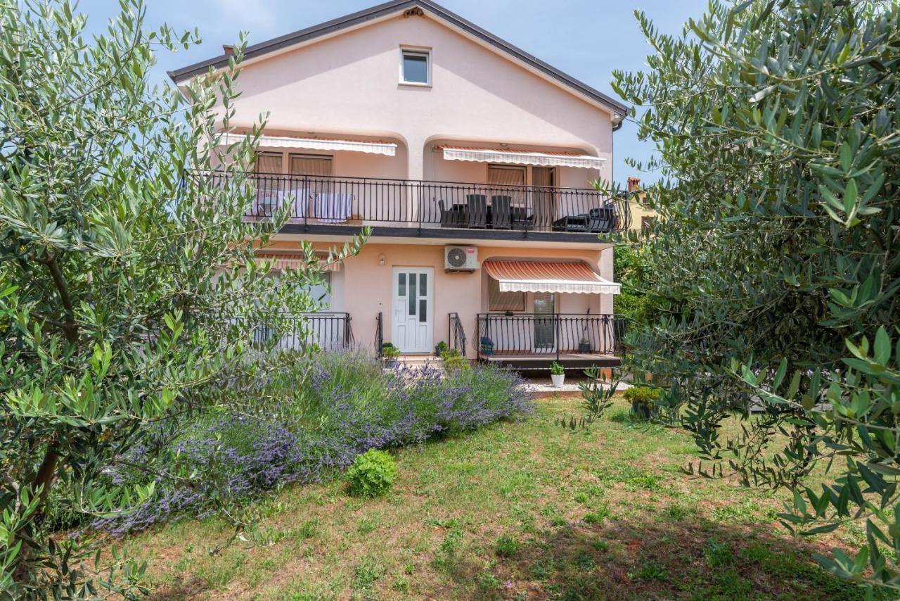Apartment Masha Novigrad Istria 외부 사진